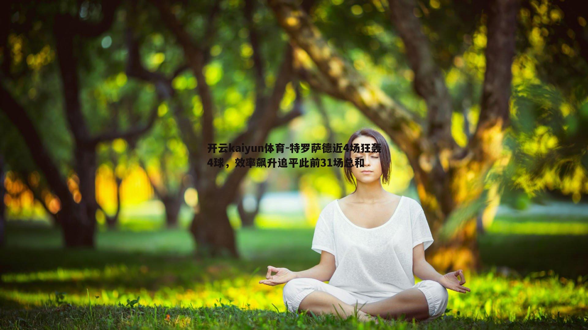 开云kaiyun体育-特罗萨德近4场狂轰4球，效率飙升追平此前31场总和-第1张图片-开云kaiyun体育